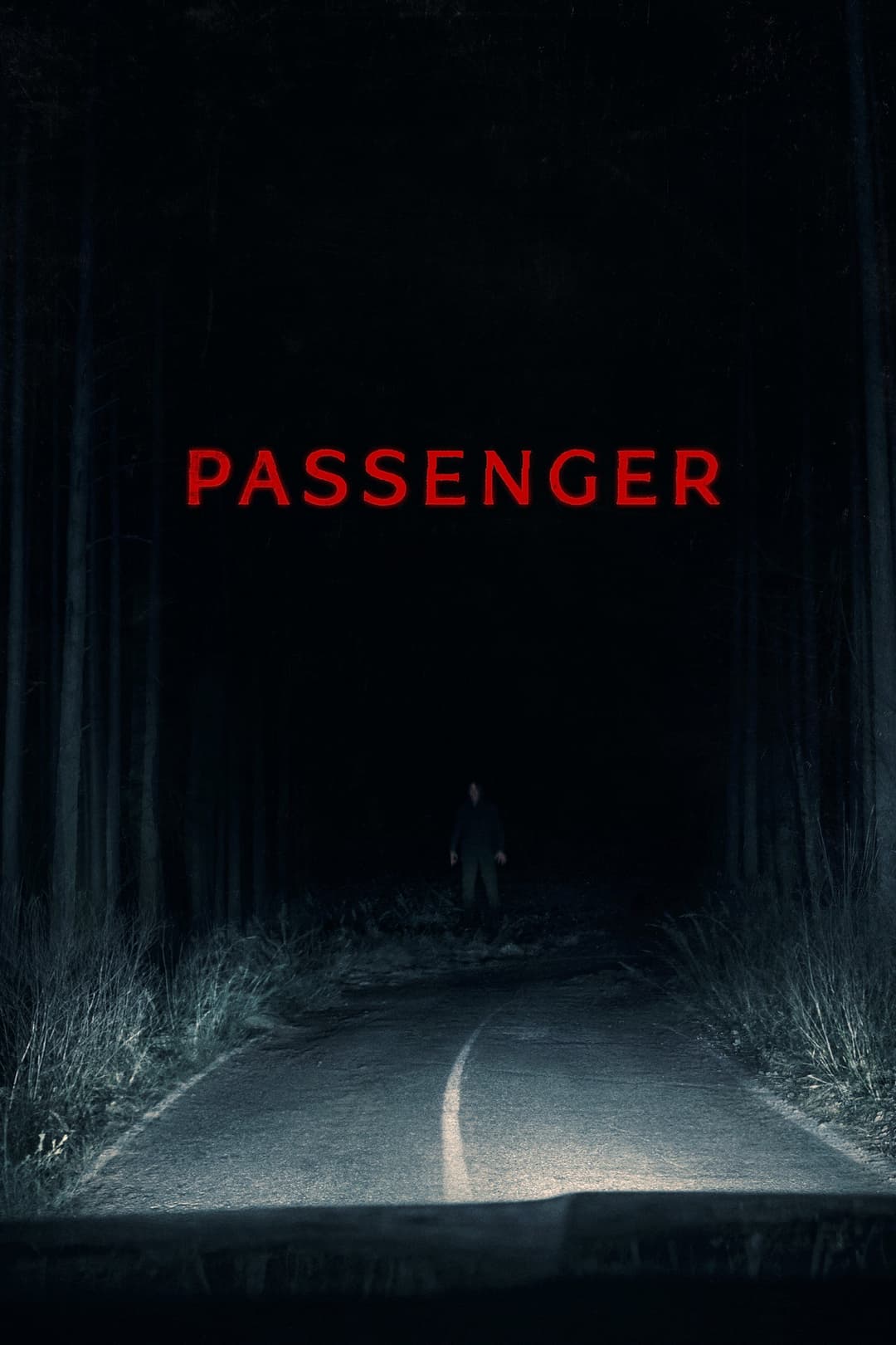 poster of Passenger