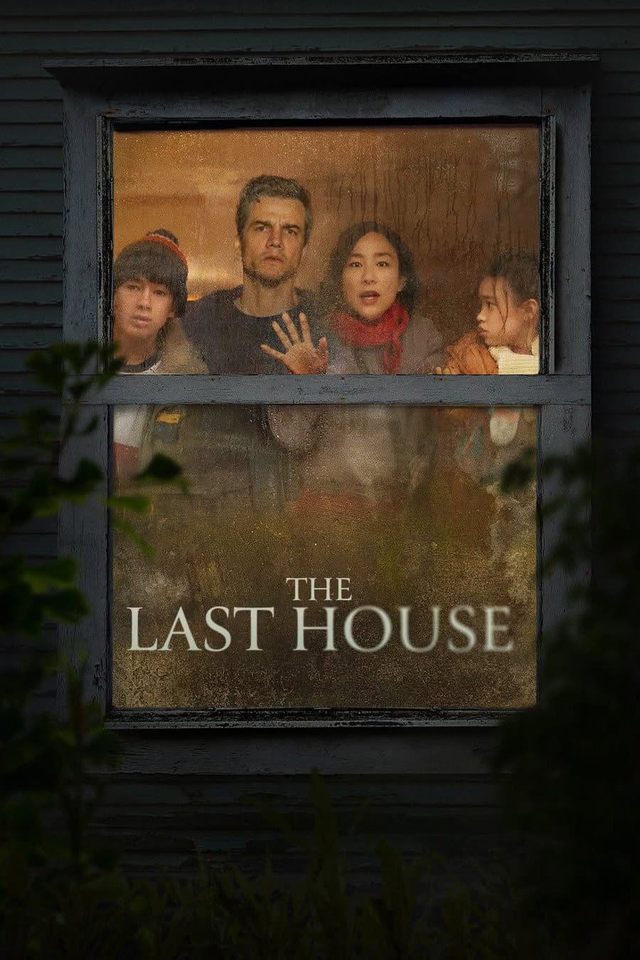 poster of The Last House