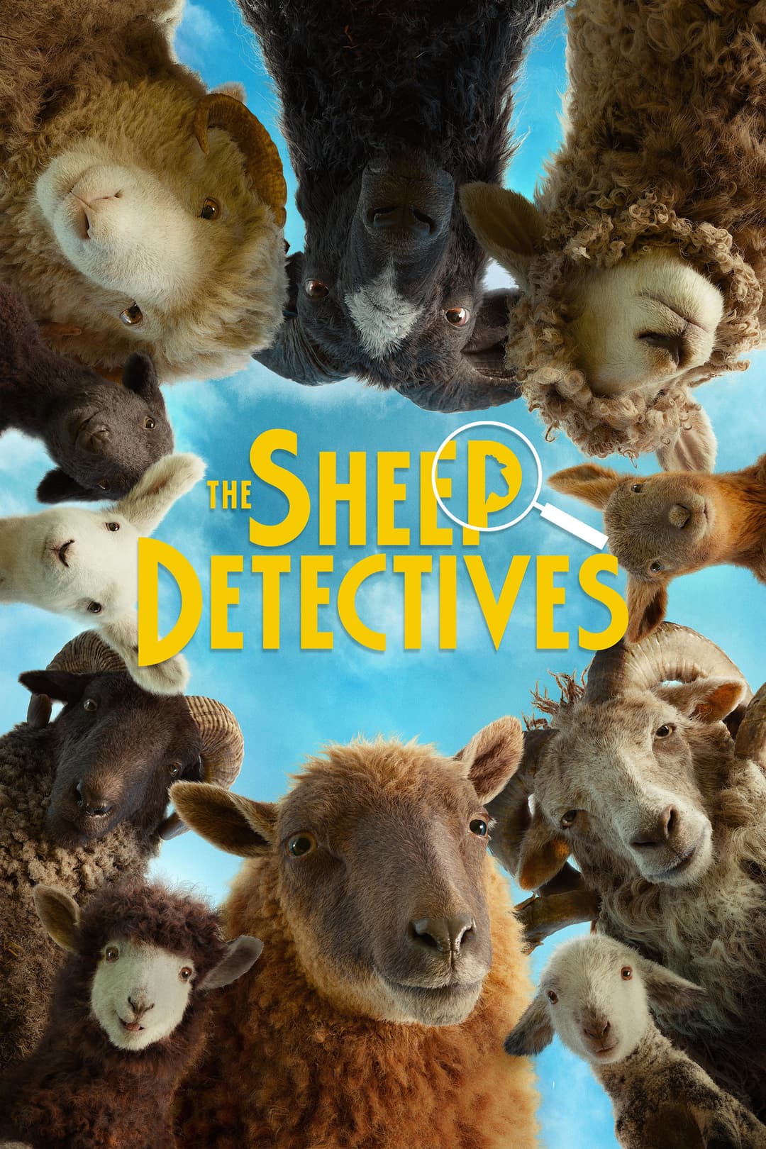 poster of The Sheep Detectives