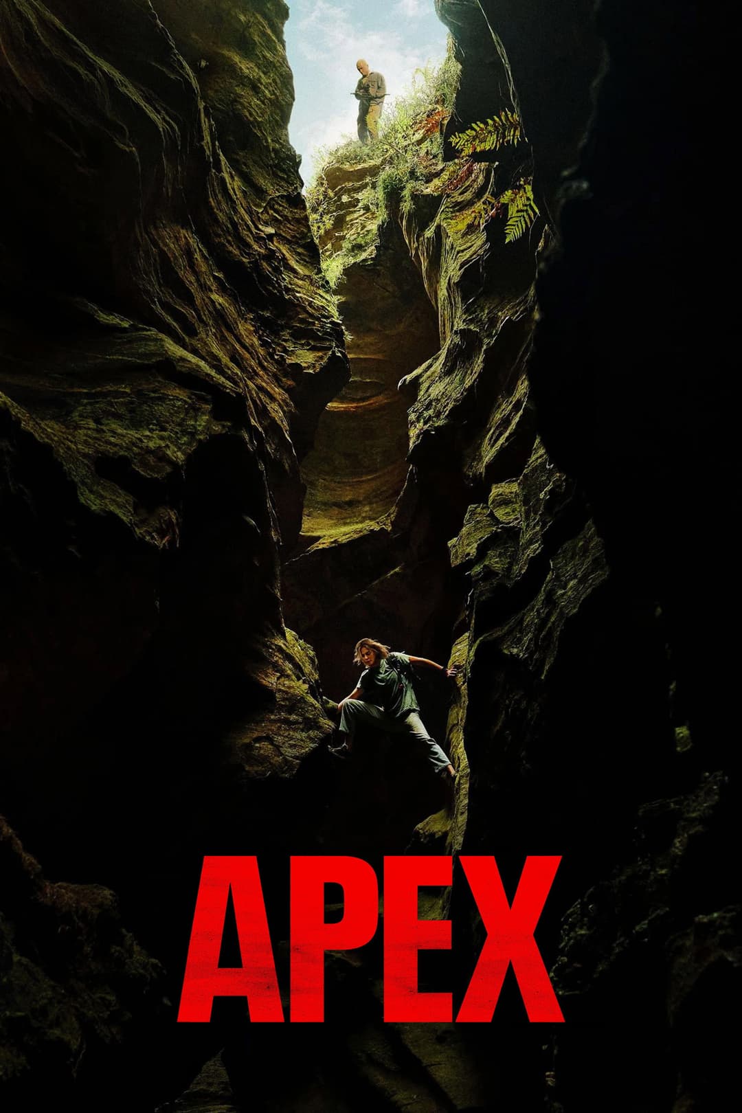 poster of Apex