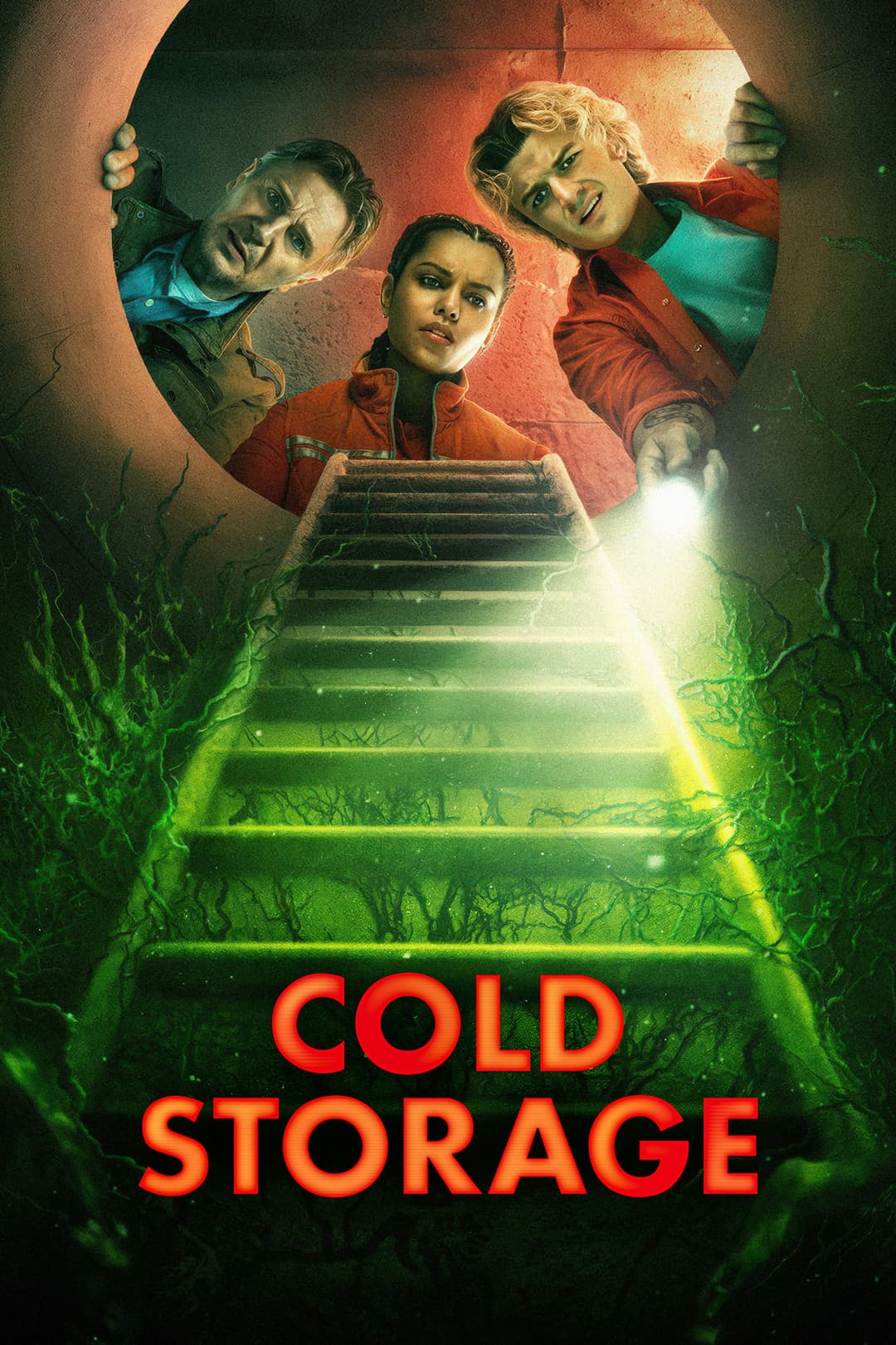 poster of Cold Storage