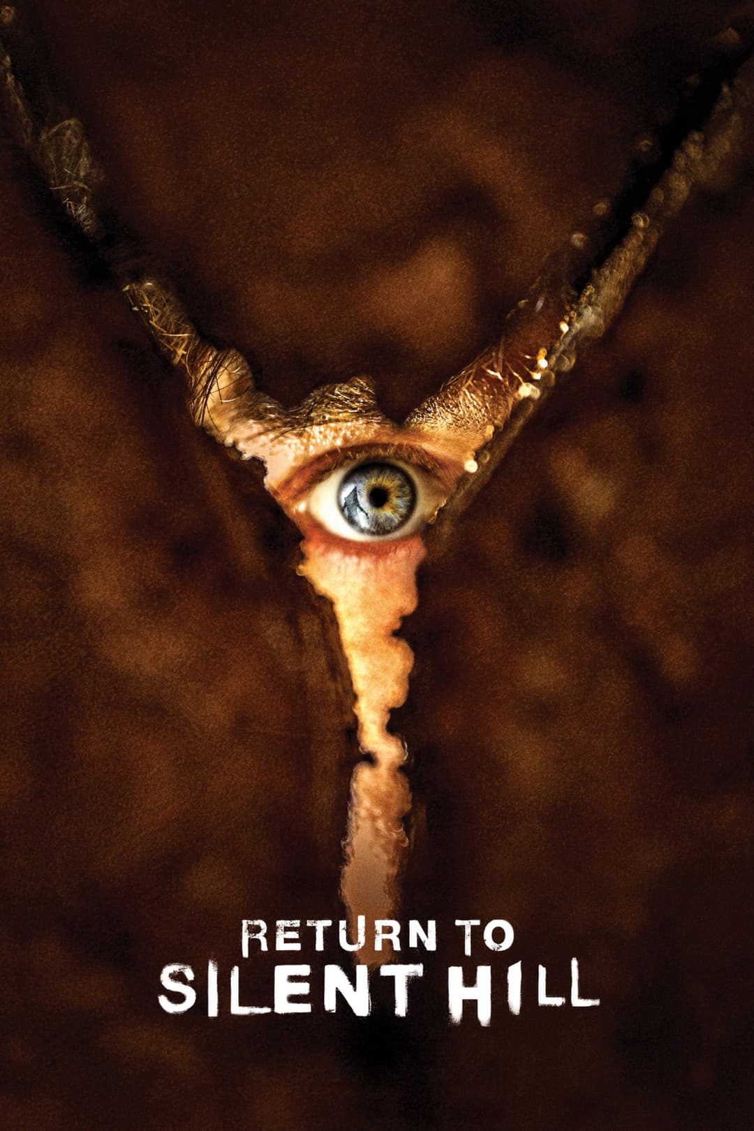 poster of Return to Silent Hill