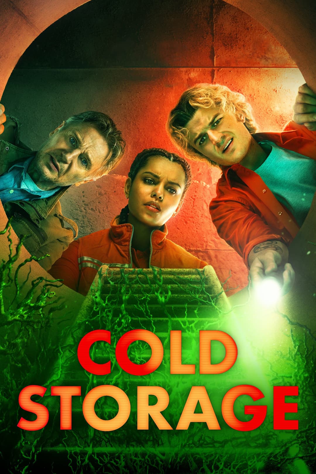 poster of Cold Storage