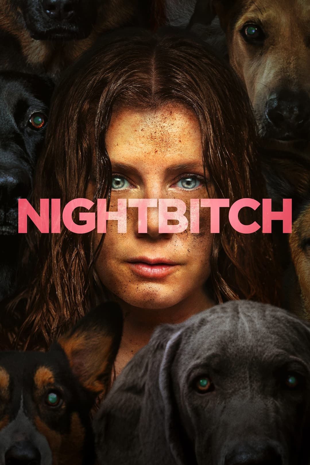 poster of Nightbitch