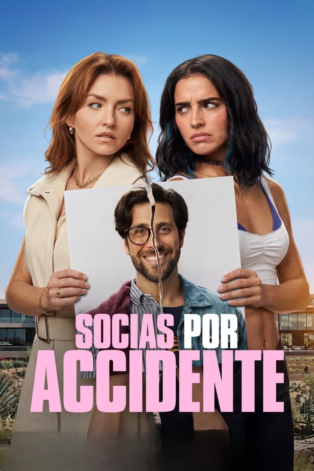 poster of Accidental Partners