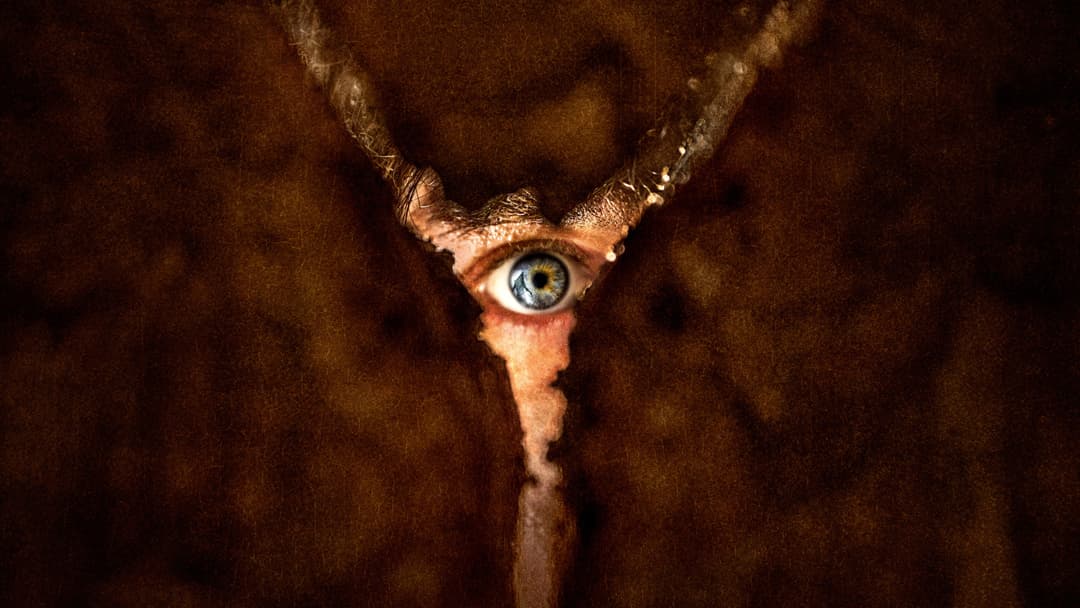 poster of Return to Silent Hill