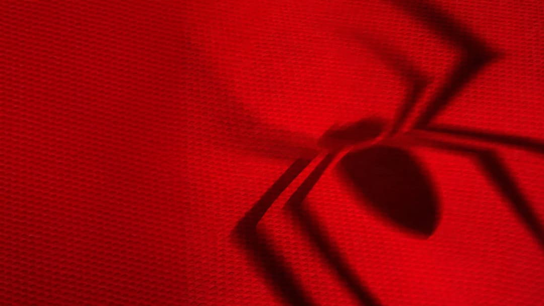 poster of Spider-Man: Brand New Day