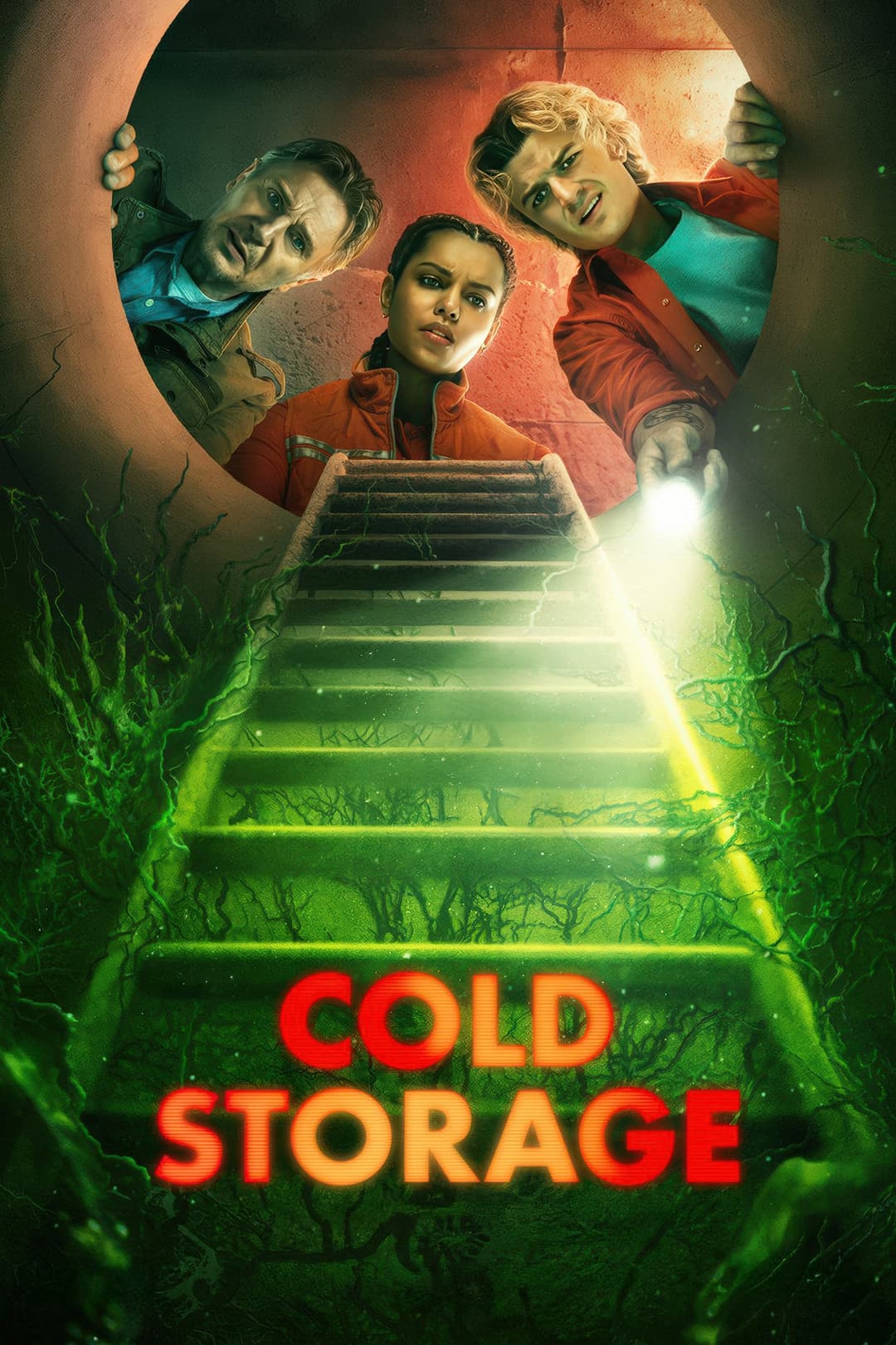 poster of Cold Storage