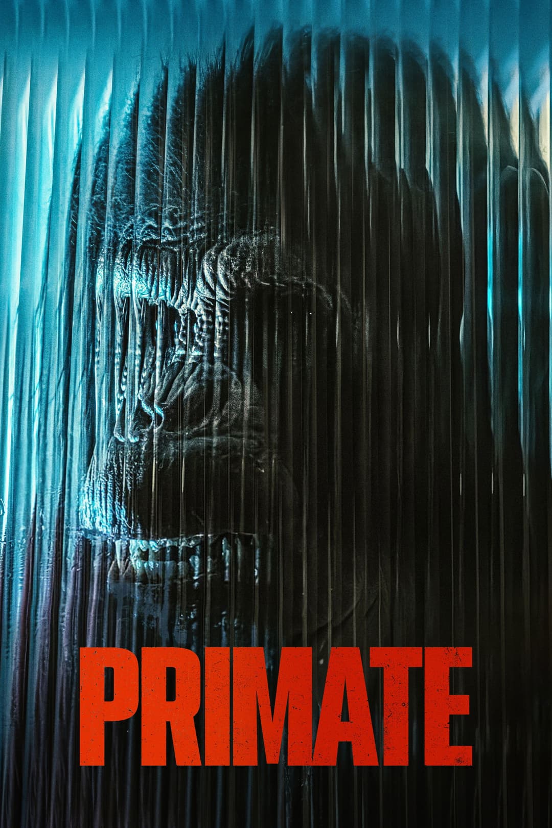 poster of Primate