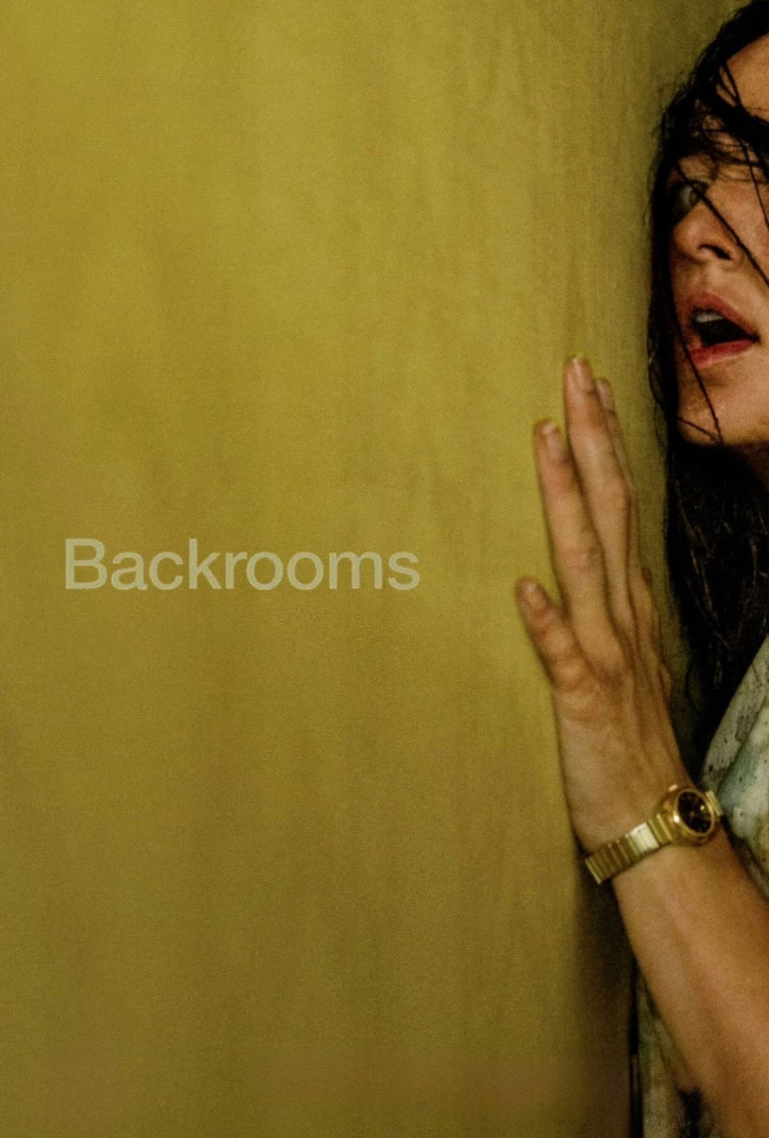 poster of Backrooms