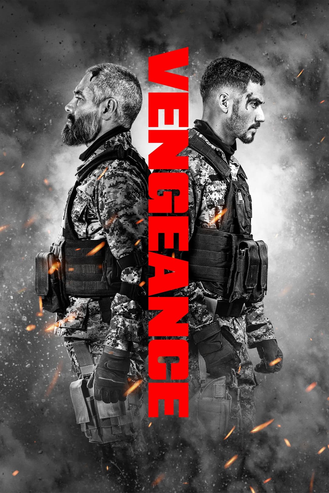 poster of Vengeance