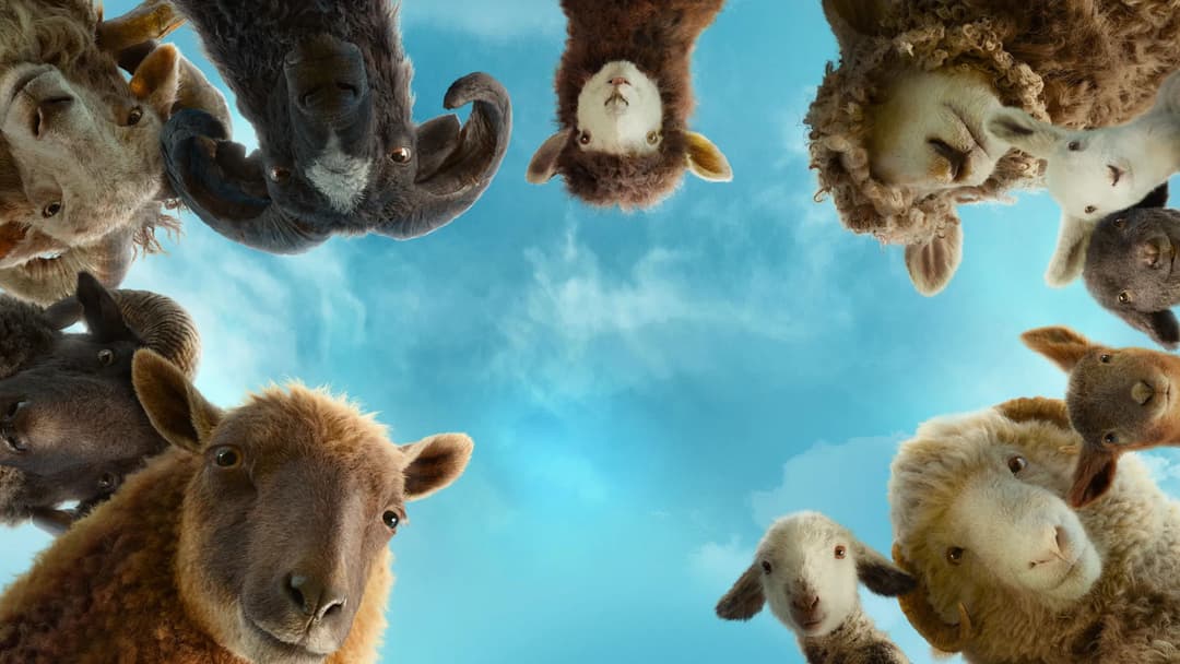 poster of The Sheep Detectives